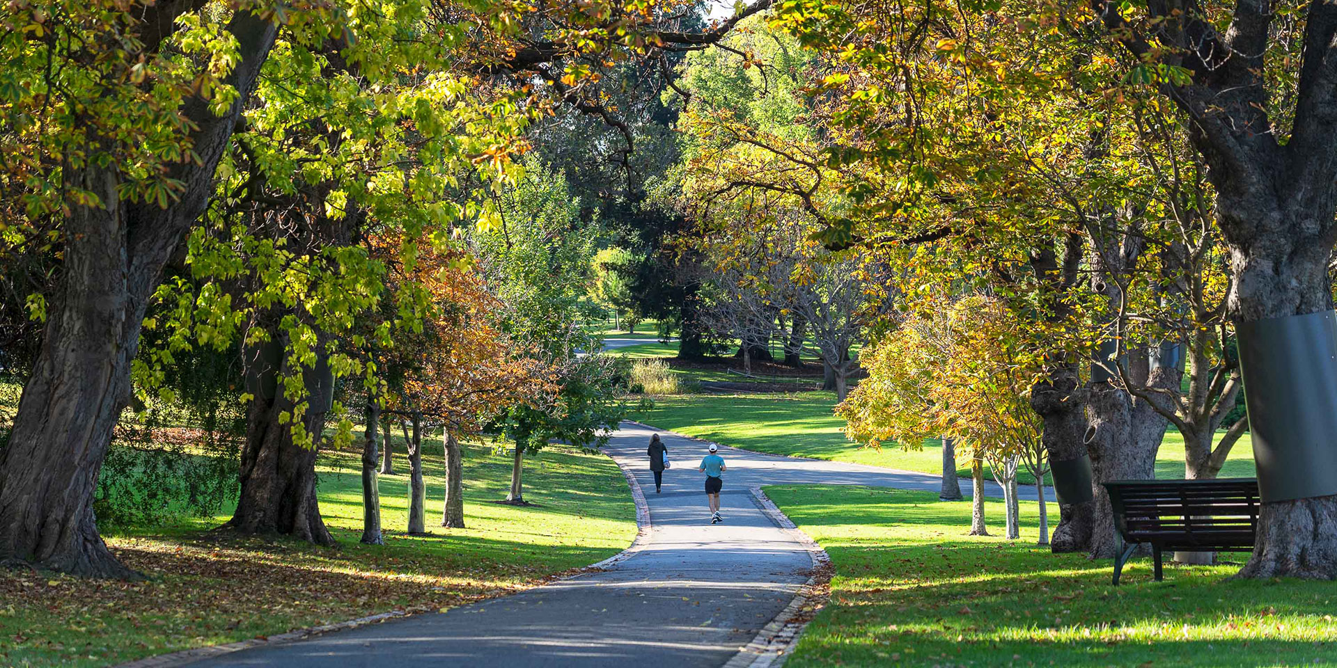 Colliers_Sapphire_Location_Carlton_Gardens_World_Heritage_BRI2328_1920x960